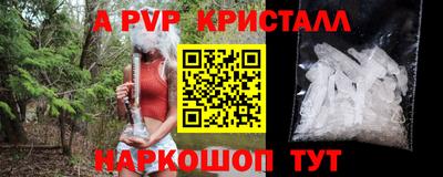 молекула духа Тверь