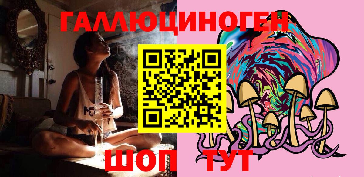 Малгобек  Галлюциногенные грибы Cubensis  Вход с VPN 