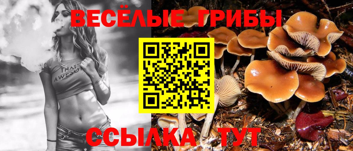 Псилоцибиновые грибы MAGIC MUSHROOMS Малгобек